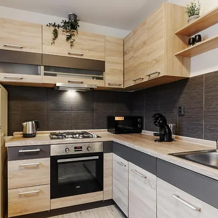 Apartamento Pod Spilberkem Brno